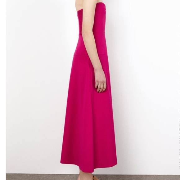 Zara Bustier Midi Dress - Picture 14 of 16